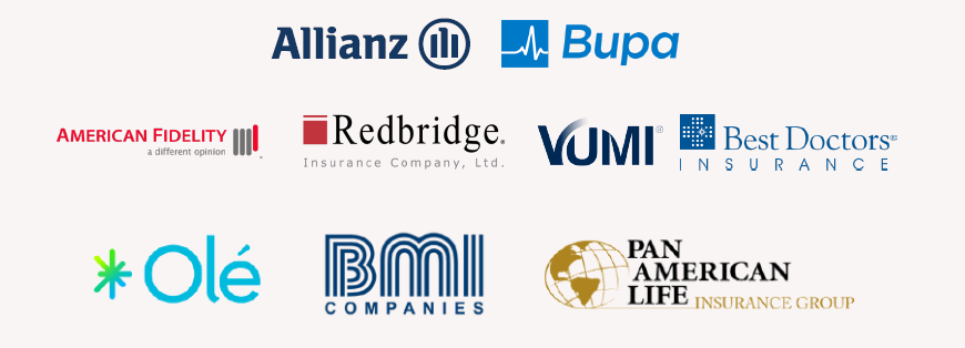 Life and Health Insurance Companies